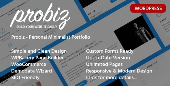 Probiz - Portfolio WordPress Theme — homepage layout