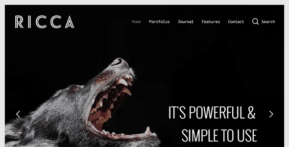 Ricca - A Fresh Responsive Theme For Creatives — case study or portfolio page