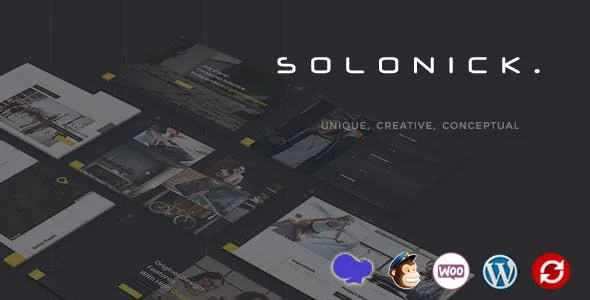 Solonick - Personal Portfolio WordPress Theme — homepage layout