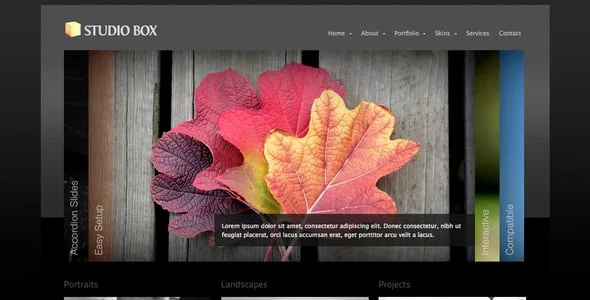 Studio Box | WordPress Theme — case study or portfolio page