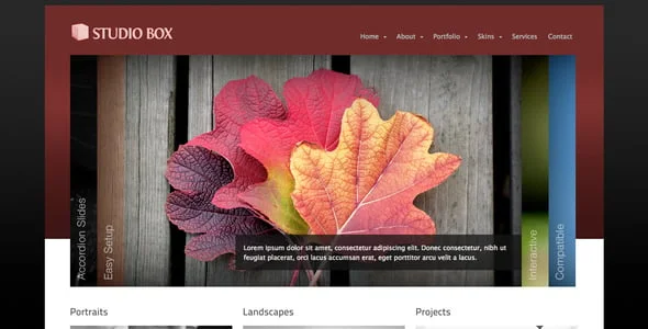 Studio Box | WordPress Theme — content section layout