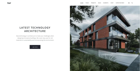 Tur Architecture | WordPress Theme — case study or portfolio page