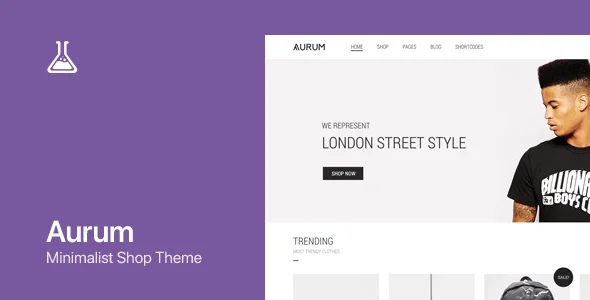 Aurum - WordPress & WooCommerce Shopping Theme WordPress theme homepage layout for a blog WooCommerce store