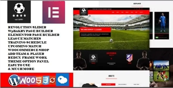 football club soccer WordPress Theme WordPress theme homepage layout for a ball entertainment website