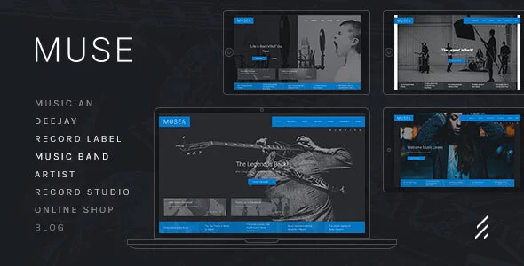 Muse — Music WordPress Theme WordPress theme homepage layout for a a11y music website