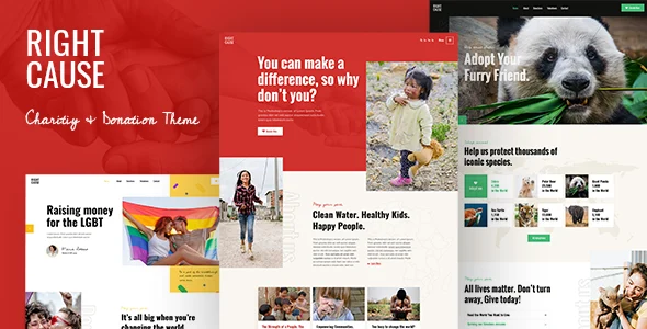 RightCause - Charity and Donation WordPress Theme WordPress theme homepage layout for a activism advocacy website