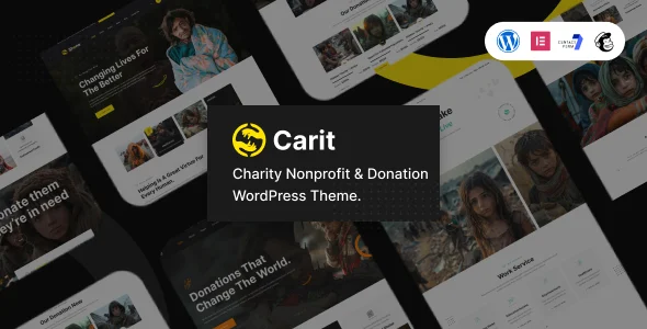 Carit - Charity Nonprofit & Donation WordPress Theme WordPress theme homepage layout for a charity charity website