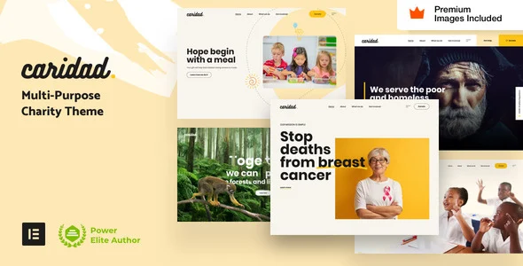 Charity Hub - Caridad WordPress theme homepage layout for a charity charity website