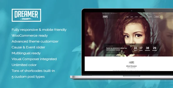 Dreamer - Multipurpose Charity WordPress Theme WordPress theme homepage layout for a Causes charity website