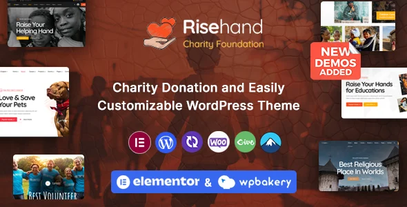 RiseHand - Charity & Donation WordPress Theme WordPress theme homepage layout for a charitable charity website