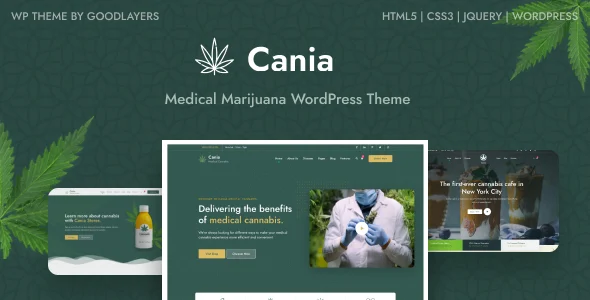 Cania - Marijuana Medical WordPress WordPress theme homepage layout for a cannabis health and beauty website